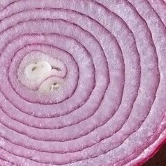 Close-up of sliced red onion rings