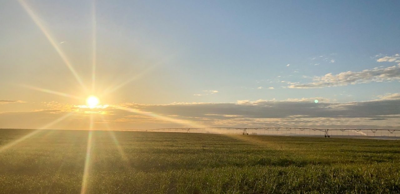Open landscape at sunset