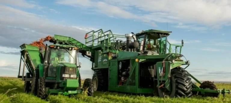 Large green agricultural harvesting machine in field